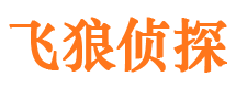 秀屿市侦探调查公司